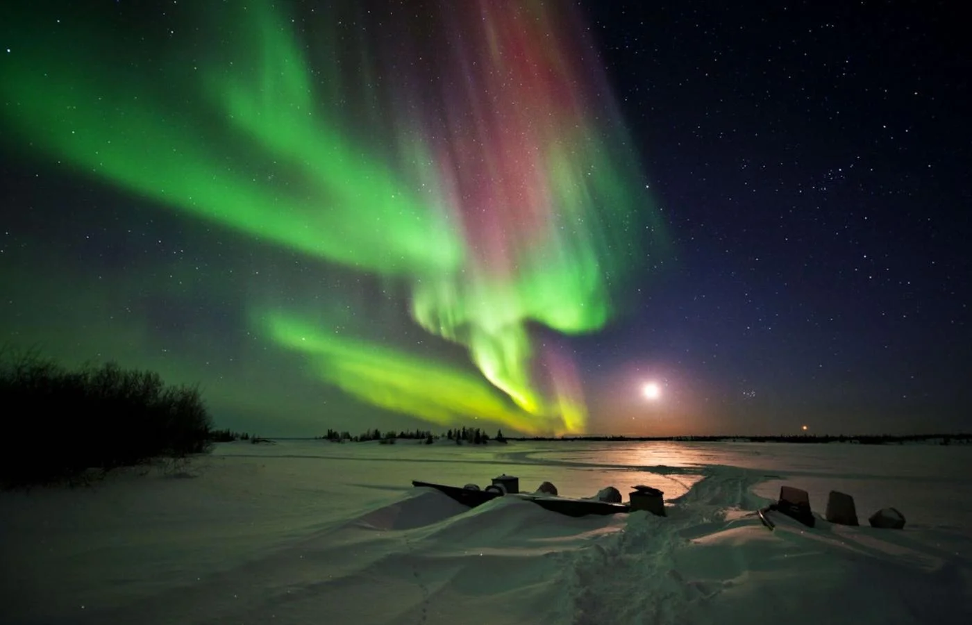 northern lights in the sky