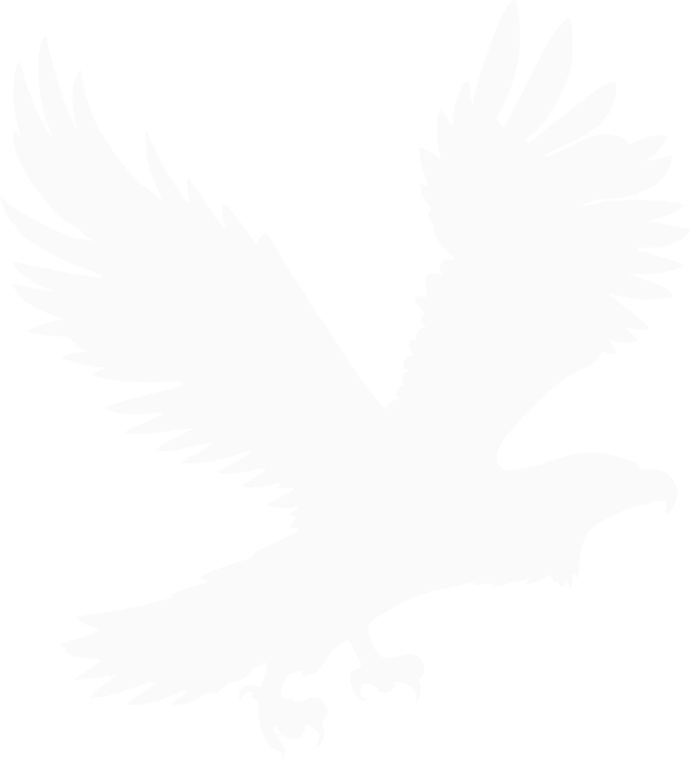 outline of an eagle